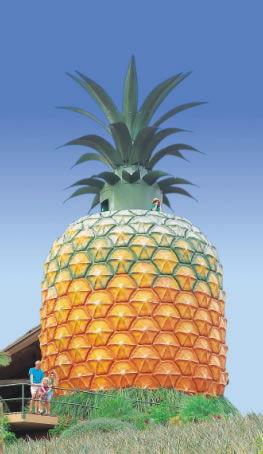 The Big Pineapple - Sunshine Coast Tourism 0