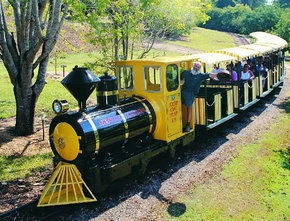 The Big Pineapple - Sunshine Coast Tourism 1