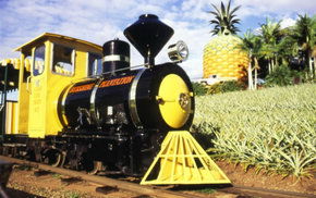 The Big Pineapple - Sunshine Coast Tourism 3