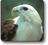 Kakadu National Park - Sunshine Coast Tourism