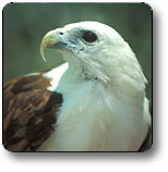 Kakadu National Park - Sunshine Coast Tourism 0