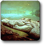 Kakadu National Park - Sunshine Coast Tourism 1