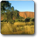 Uluru - Kata Tjuta National Park - Sunshine Coast Tourism 0
