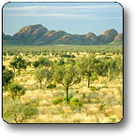 Uluru - Kata Tjuta National Park - Sunshine Coast Tourism 2