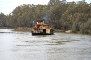 Emmylou Paddle Steamer - Sunshine Coast Tourism 1