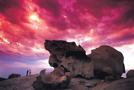 Kangaroo Island Adventure Tour 2 Day/1 Night - Holiday Sunshine Coast 0