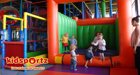 Cool Cats - Holiday Sunshine Coast 1