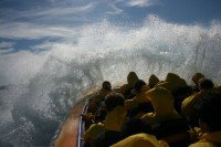 Jetboating Sydney - Sunshine Coast Tourism 1