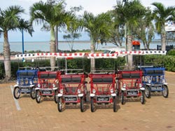 Beach Safaris - Sunshine Coast Tourism 1