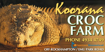 Koorana Saltwater Crocodile Farm - Sunshine Coast Tourism 0