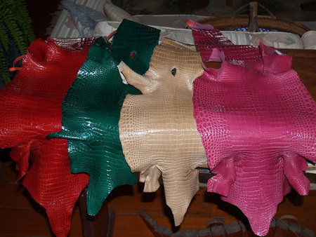 Koorana Saltwater Crocodile Farm - Sunshine Coast Tourism 2