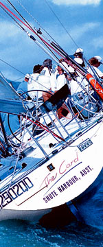 Koala Adventures - Holiday Sunshine Coast 1