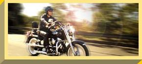 Easy Rider - Sunshine Coast Tourism 1