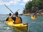 Sydney Harbour Kayaks - Holiday Sunshine Coast 1