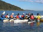 Sydney Harbour Kayaks - Holiday Sunshine Coast 2
