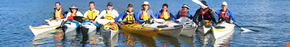 Sydney Harbour Kayaks - Holiday Sunshine Coast 3