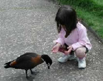 Urimbirra Wildlife Park - Holiday Sunshine Coast 3