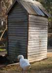 Wagga Wagga Zoo - Holiday Sunshine Coast 2