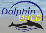 Dolphin Wild - Sunshine Coast Tourism 0