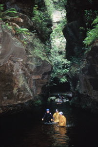 High And Wild Mountain Adventures - Holiday Sunshine Coast 1