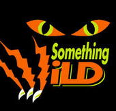 Something Wild - Holiday Sunshine Coast