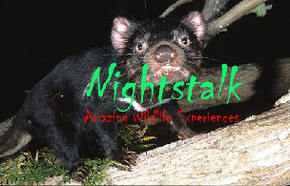 Something Wild - Sunshine Coast Tourism 1