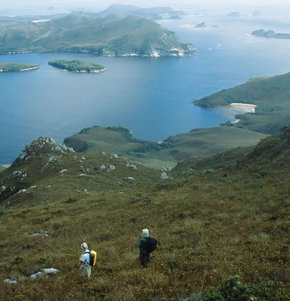 Roaring 40s Kayaking - Sunshine Coast Tourism 1
