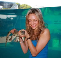 Crocosaurus Cove - Sunshine Coast Tourism