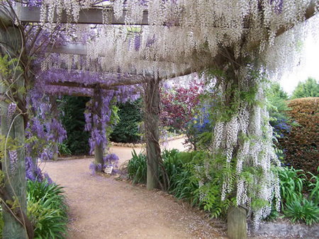 Furnissdale WA Sunshine Coast Tourism