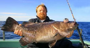 Bravo Fishing Charters - Sunshine Coast Tourism 0