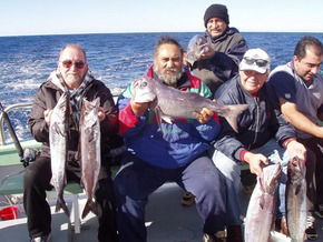 Bravo Fishing Charters - Sunshine Coast Tourism 1