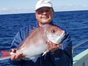 Bravo Fishing Charters - Sunshine Coast Tourism 3