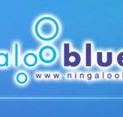 Ningaloo Blue Dive - Holiday Sunshine Coast
