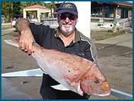 Odyssey Charters - Holiday Sunshine Coast 1