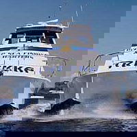 Sunshine Coast Fishing Charters - Holiday Sunshine Coast 0