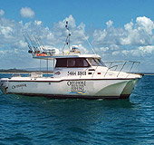 Sunshine Coast Fishing Charters - Holiday Sunshine Coast 1