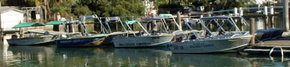 Brooklyn Central Boat Hire & General Store - Sunshine Coast Tourism 1