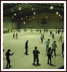 Bendigo Ice Stadium - Sunshine Coast Tourism 1