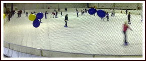 Bendigo Ice Stadium - Sunshine Coast Tourism 2