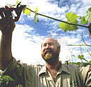 Barossa Experience Tours - Sunshine Coast Tourism