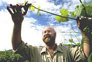 Barossa Experience Tours - Sunshine Coast Tourism 0