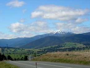 Buller View Wines - Sunshine Coast Tourism 2