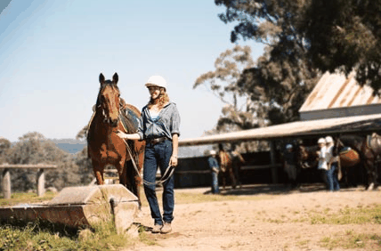 Watsons Trail Rides