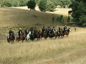 McCormacks Mountain Valley Trail Rides