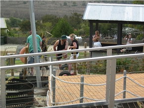 High Country - Holiday Sunshine Coast 0