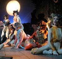 Harvest Rain Theatre Company - Holiday Sunshine Coast