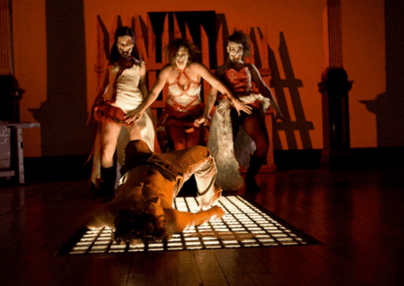 Zen Zen Zo Physical Theatre - Holiday Sunshine Coast 1