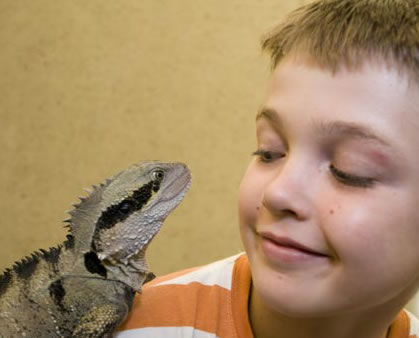 Geckoes Wildlife Presentations - Holiday Sunshine Coast 2