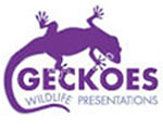 Geckoes Wildlife Presentations - Holiday Sunshine Coast 3