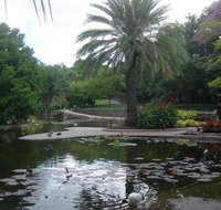 Brisbane City Botanic Gardens - Sunshine Coast Tourism